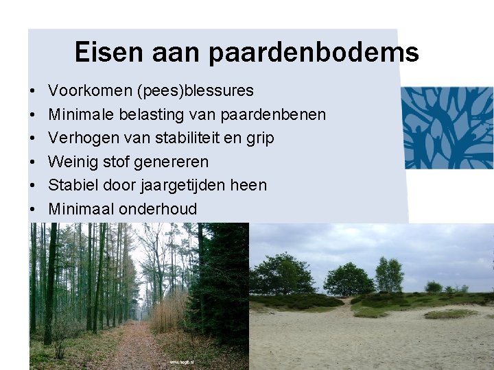 Eisen aan paardenbodems • • • Voorkomen (pees)blessures Minimale belasting van paardenbenen Verhogen van