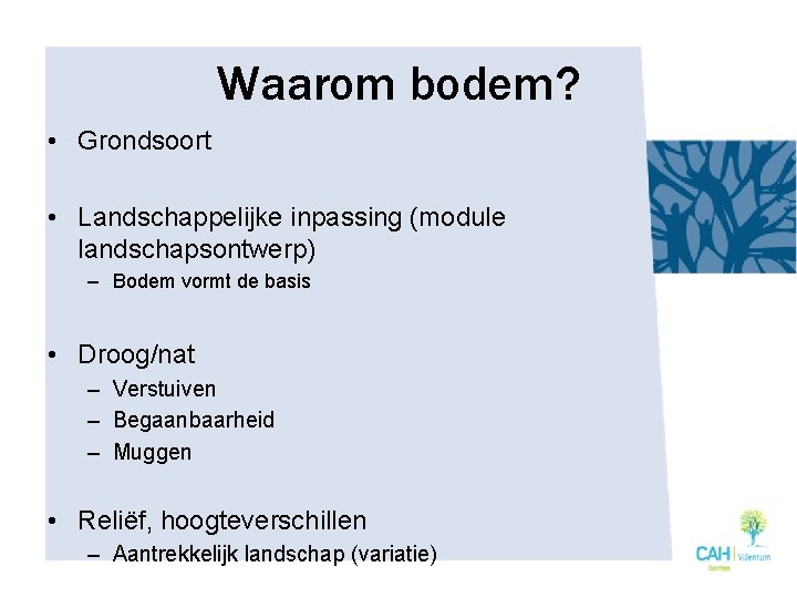 Waarom bodem? • Grondsoort • Landschappelijke inpassing (module landschapsontwerp) – Bodem vormt de basis