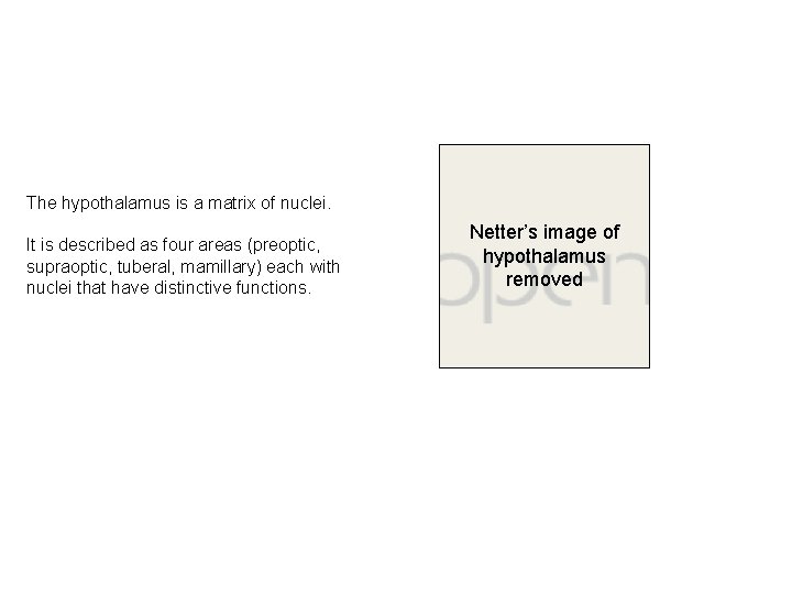 The hypothalamus is a matrix of nuclei. It is described as four areas (preoptic,