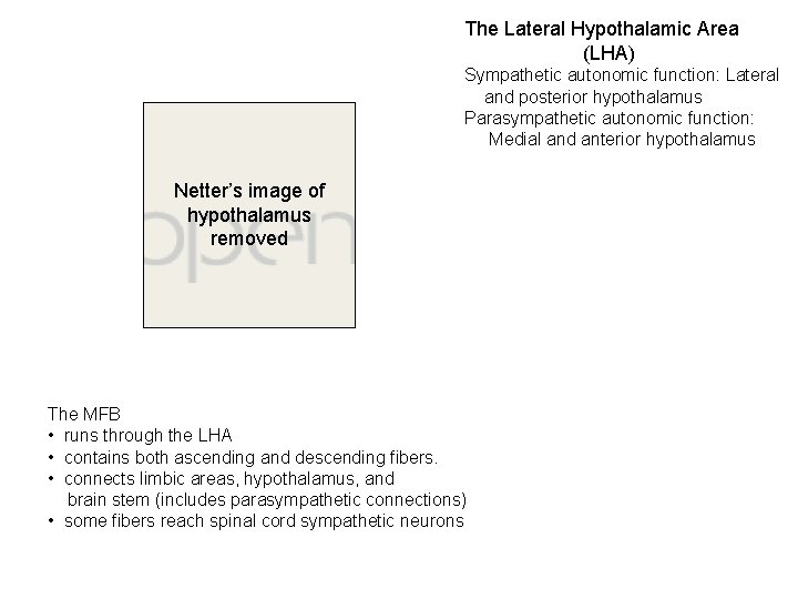 The Lateral Hypothalamic Area (LHA) Sympathetic autonomic function: Lateral and posterior hypothalamus Parasympathetic autonomic