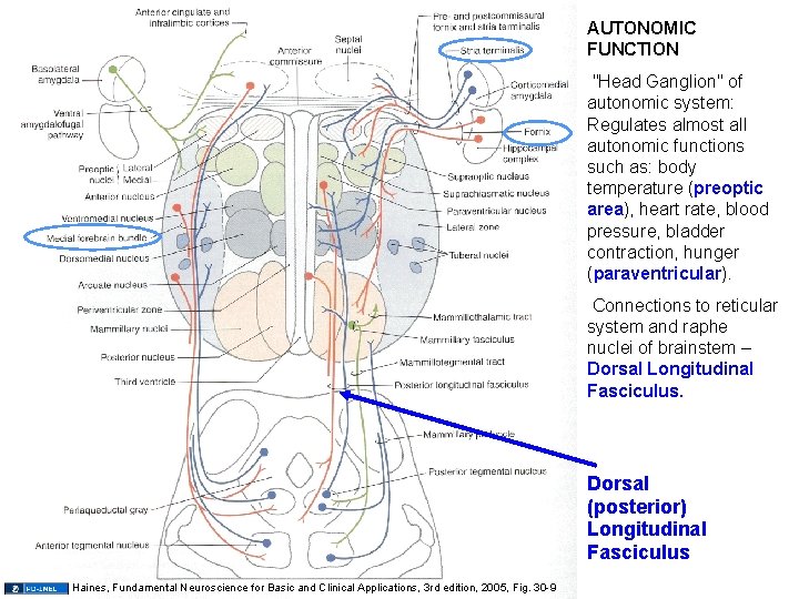 AUTONOMIC FUNCTION "Head Ganglion" of autonomic system: Regulates almost all autonomic functions such as: