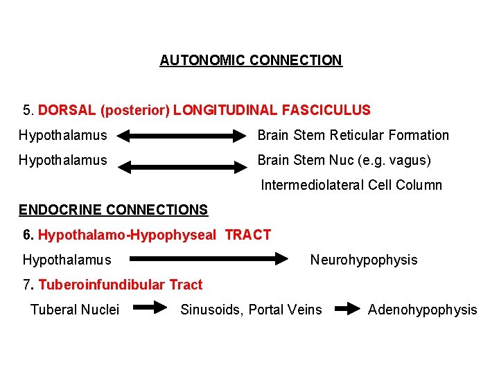 AUTONOMIC CONNECTION 5. DORSAL (posterior) LONGITUDINAL FASCICULUS Hypothalamus Brain Stem Reticular Formation Hypothalamus Brain