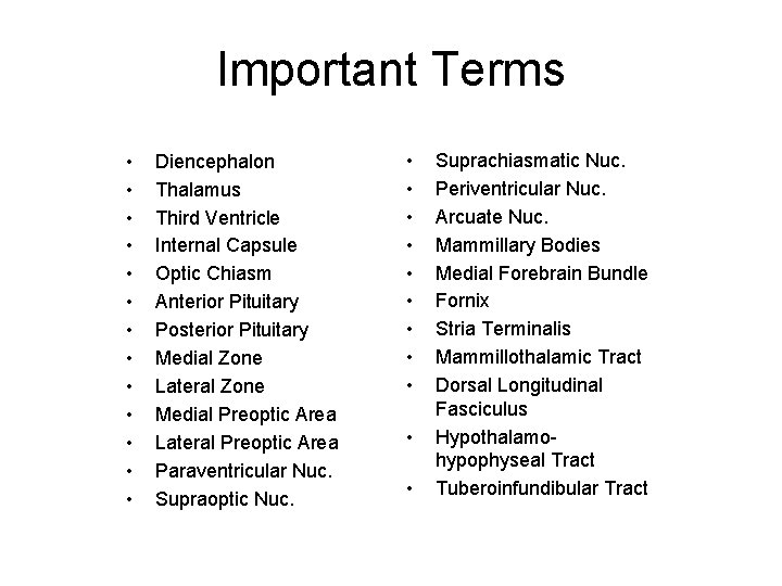 Important Terms • • • • Diencephalon Thalamus Third Ventricle Internal Capsule Optic Chiasm