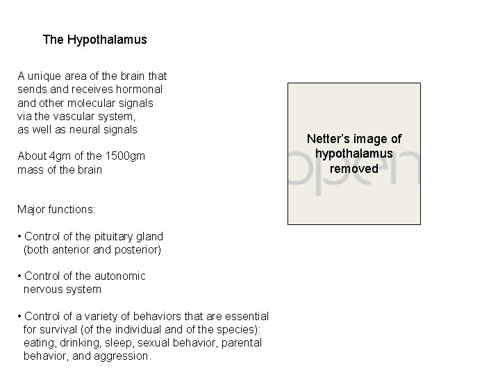The Hypothalamus A unique area of the brain that sends and receives hormonal and