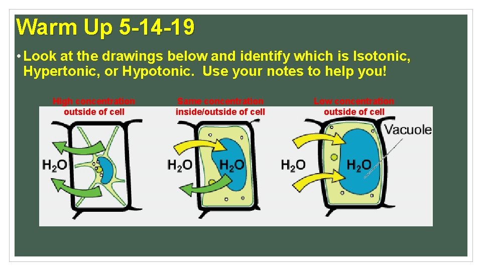 Warm Up 5 -14 -19 • Look at the drawings below and identify which