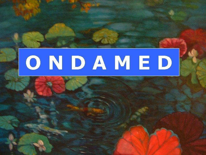 O N D A M E D ONDAMED 