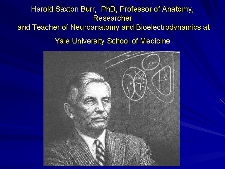 Harold Saxton Burr, Ph. D, Professor of Anatomy, Researcher and Teacher of Neuroanatomy and