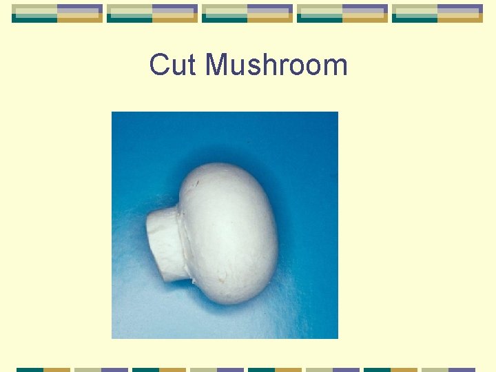 Cut Mushroom 