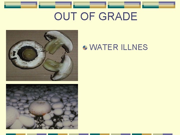 OUT OF GRADE WATER ILLNES 