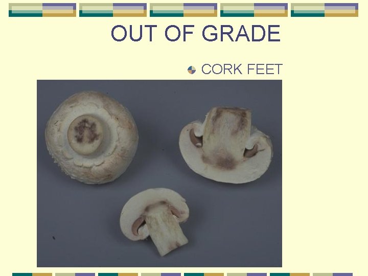 OUT OF GRADE CORK FEET 