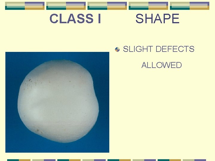 CLASS I SHAPE SLIGHT DEFECTS ALLOWED 