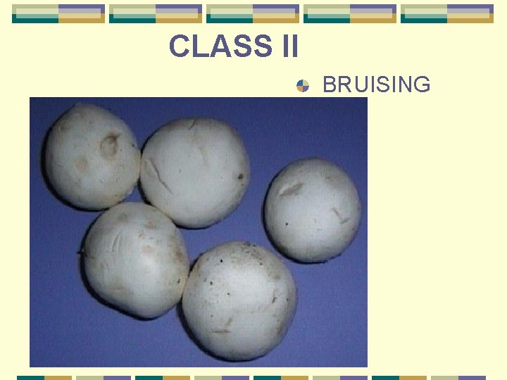 CLASS II BRUISING 