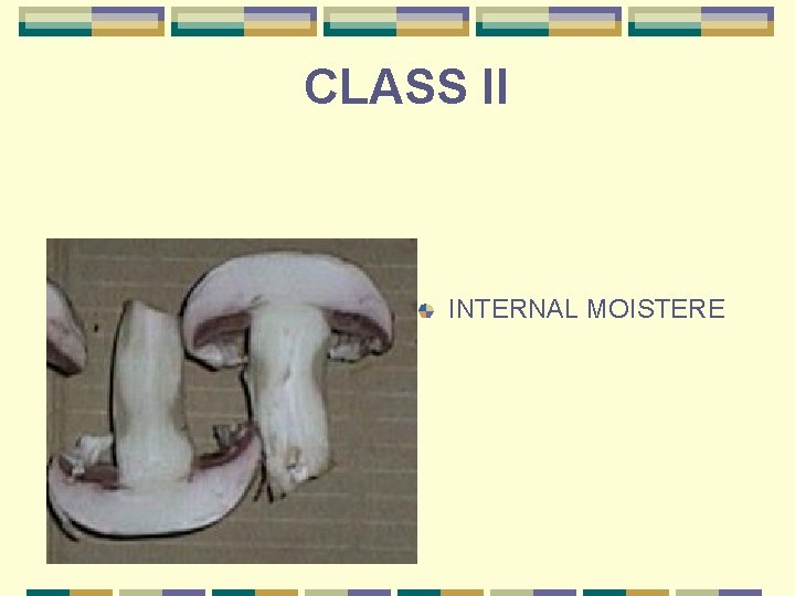 CLASS II INTERNAL MOISTERE 