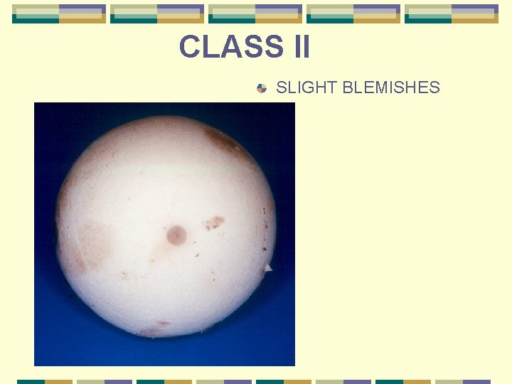 CLASS II SLIGHT BLEMISHES 