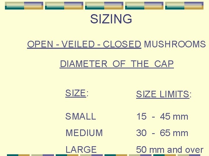 SIZING OPEN - VEILED - CLOSED MUSHROOMS DIAMETER OF THE CAP SIZE: SIZE LIMITS: