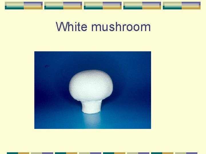 White mushroom 