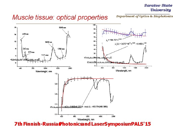 Saratov State University Muscle tissue: optical properties _______________________ Department of Optics & Biophotonics _________________________