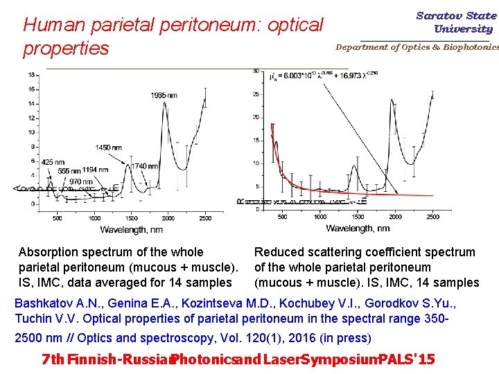 Human parietal peritoneum: optical properties Saratov State University _______________________ Department of Optics & Biophotonics