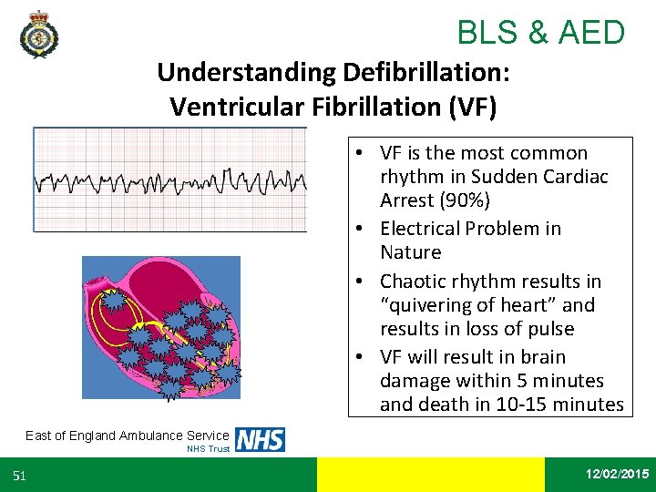 BLS & AED Understanding Defibrillation: Ventricular Fibrillation (VF) • VF is the most common