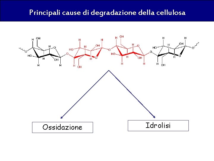Principali cause di degradazione della cellulosa Ossidazione Idrolisi 