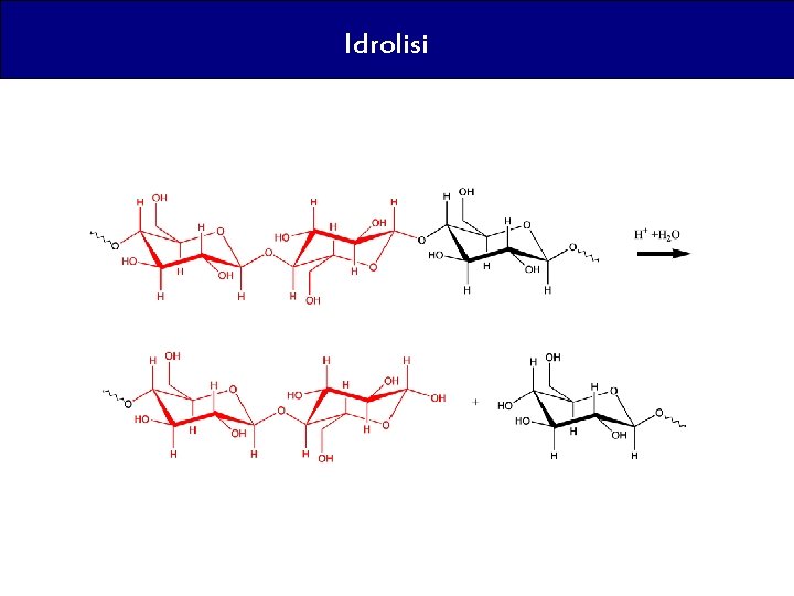 Idrolisi 