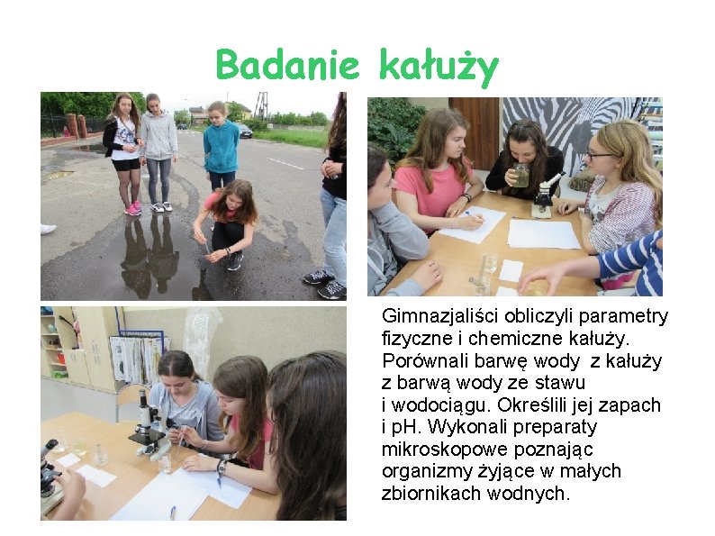 Badanie kałuży Gimnazjaliści obliczyli parametry fizyczne i chemiczne kałuży. Porównali barwę wody z kałuży