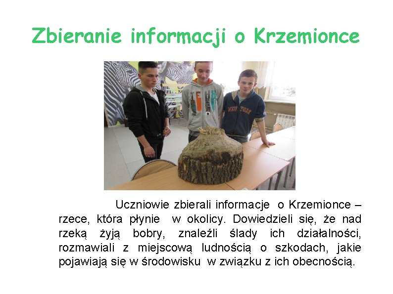 Zbieranie informacji o Krzemionce Uczniowie zbierali informacje o Krzemionce – rzece, która płynie w