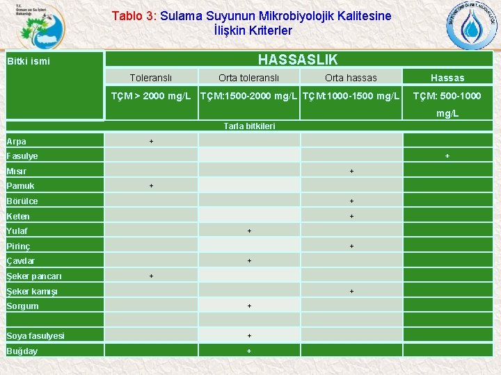 Tablo 3: Sulama Suyunun Mikrobiyolojik Kalitesine İlişkin Kriterler HASSASLIK Bitki ismi Toleranslı Orta toleranslı