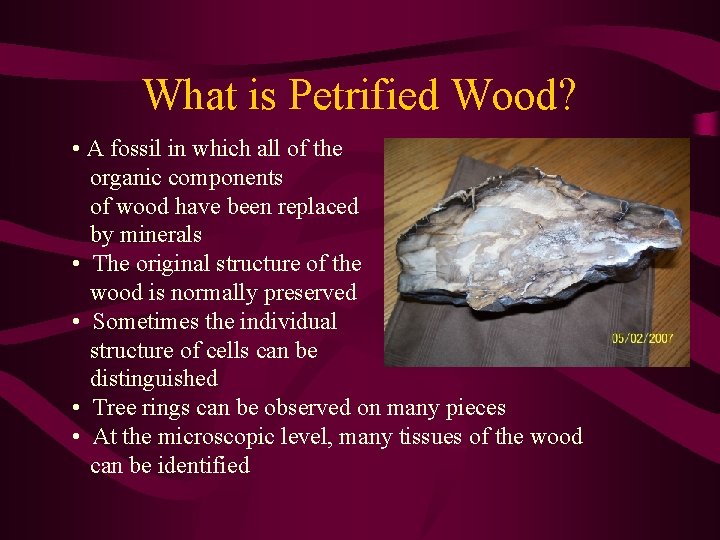 What is Petrified Wood? • A fossil in which all of the organic components