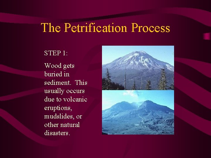 The Petrification Process STEP 1: Wood gets buried in sediment. This usually occurs due