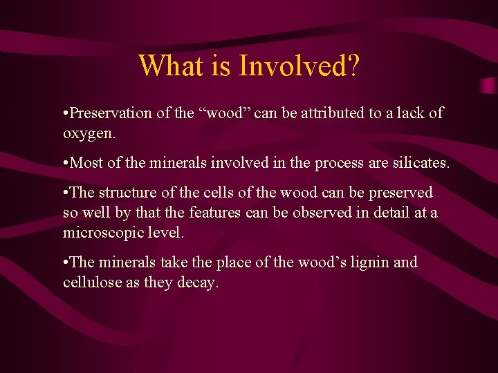 What is Involved? • Preservation of the “wood” can be attributed to a lack