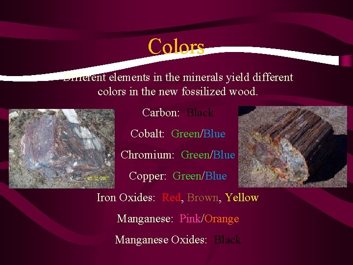Colors Different elements in the minerals yield different colors in the new fossilized wood.