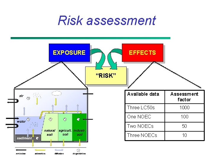 Risk assessment EXPOSURE EFFECTS “RISK” Available data Assessment factor Three LC 50 s 1000