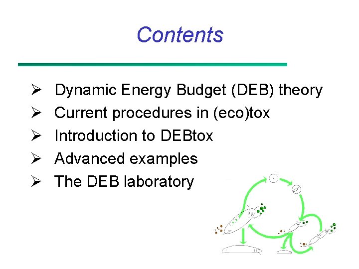 Contents Ø Ø Ø Dynamic Energy Budget (DEB) theory Current procedures in (eco)tox Introduction