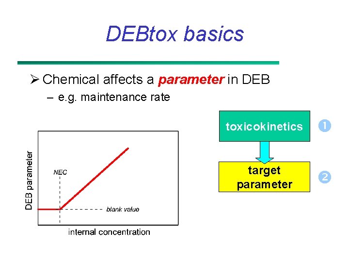 DEBtox basics Ø Chemical affects a parameter in DEB – e. g. maintenance rate