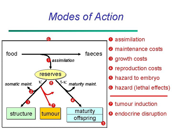 Modes of Action assimilation food faeces assimilation somatic maint. reserves 1 - structure tumour