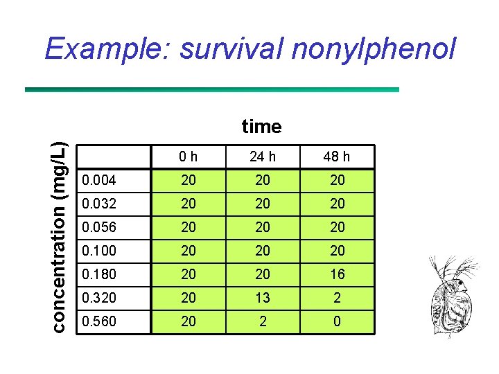Example: survival nonylphenol concentration (mg/L) time 0 h 24 h 48 h 0. 004
