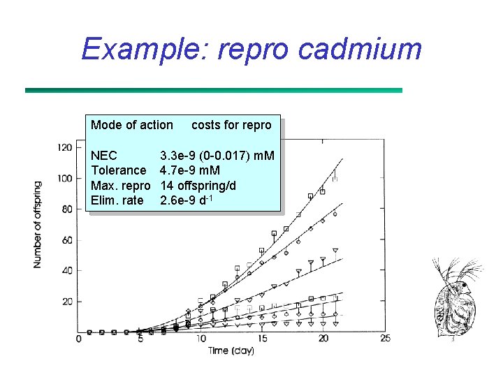 Example: repro cadmium Mode of action NEC Tolerance Max. repro Elim. rate costs for