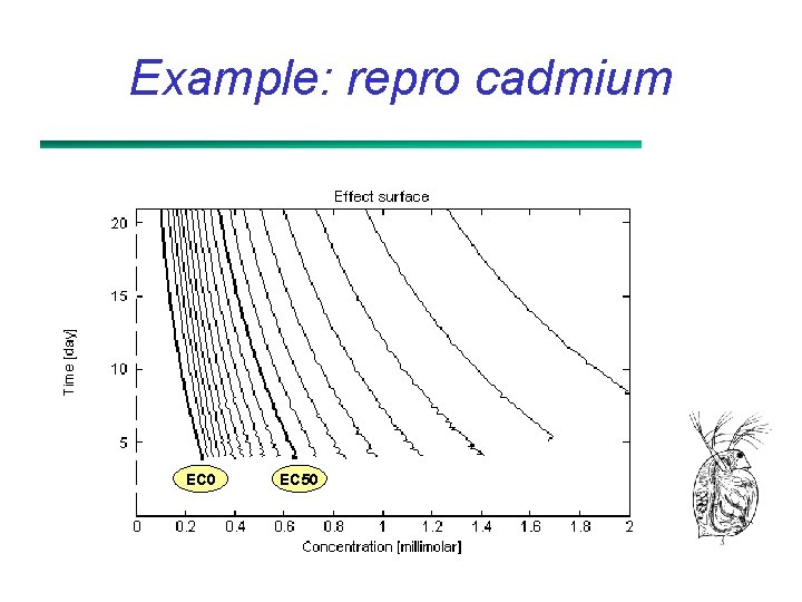 Example: repro cadmium EC 0 EC 50 