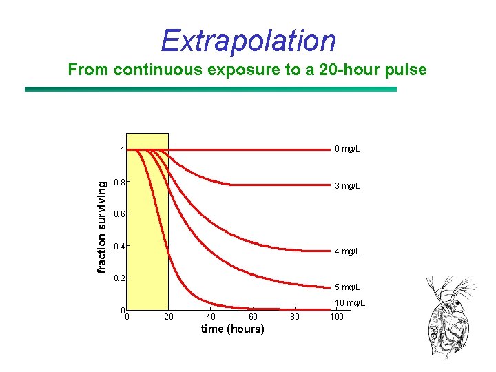 Extrapolation fraction surviving From continuous exposure to a 20 -hour pulse 1 0 mg/L