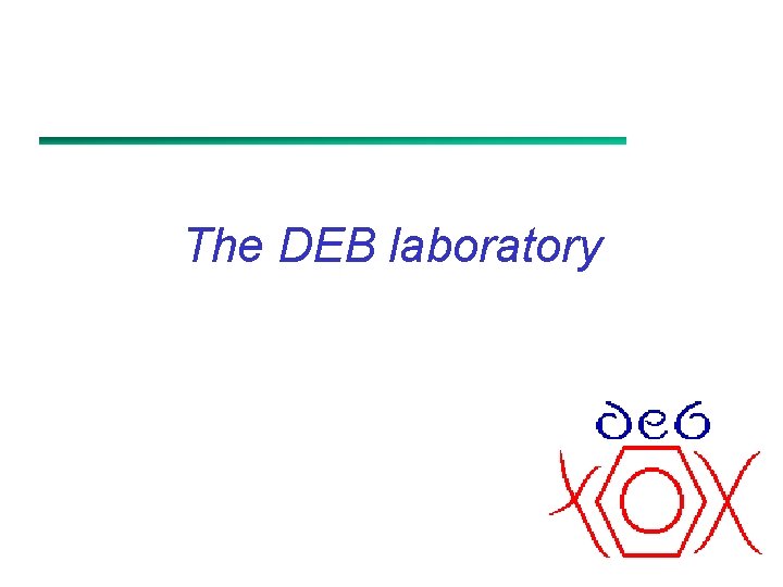 The DEB laboratory 