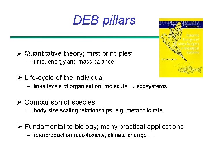 DEB pillars Ø Quantitative theory; “first principles” – time, energy and mass balance Ø