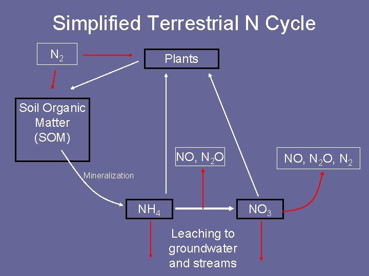 Simplified Terrestrial N Cycle N 2 Plants Soil Organic Matter (SOM) NO, N 2