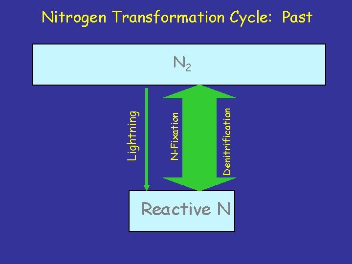 Nitrogen Transformation Cycle: Past Denitrification N-Fixation Lightning N 2 Reactive N 