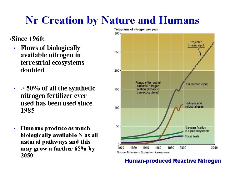 Nr Creation by Nature and Humans • Since 1960: • Flows of biologically available
