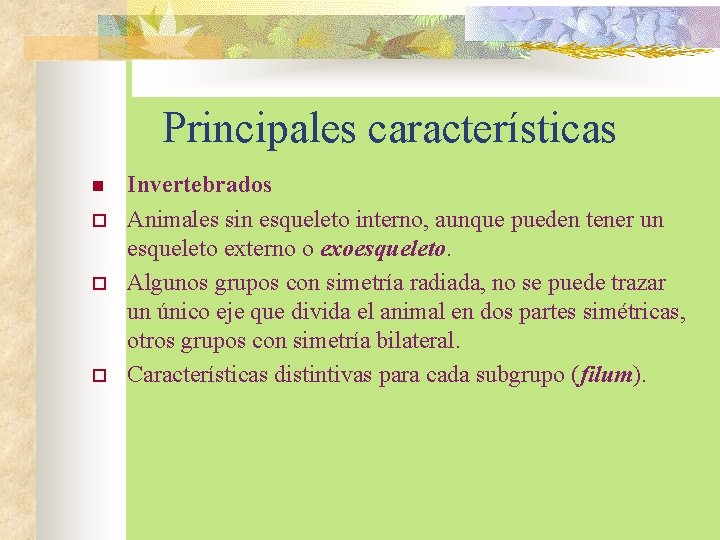 Principales características n o o o Invertebrados Animales sin esqueleto interno, aunque pueden tener