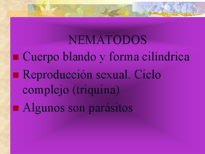 NEMATODOS n Cuerpo blando y forma cilíndrica n Reproducción sexual. Ciclo complejo (triquina) n