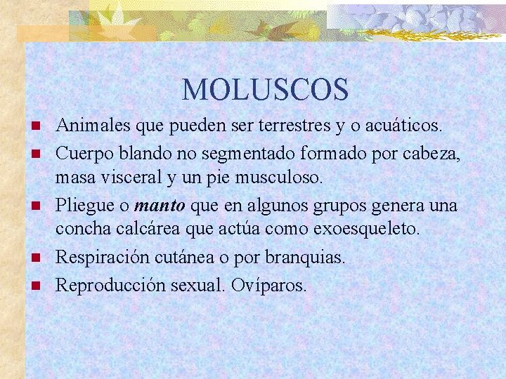 MOLUSCOS n n n Animales que pueden ser terrestres y o acuáticos. Cuerpo blando