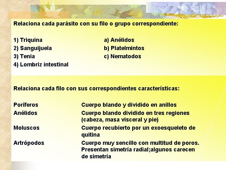 Relaciona cada parásito con su filo o grupo correspondiente: 1) Triquina a) Anélidos 2)