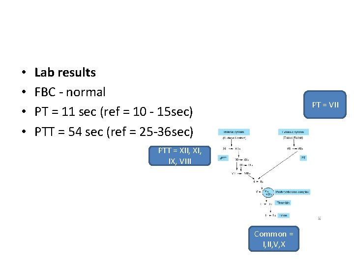  • • Lab results FBC - normal PT = 11 sec (ref =